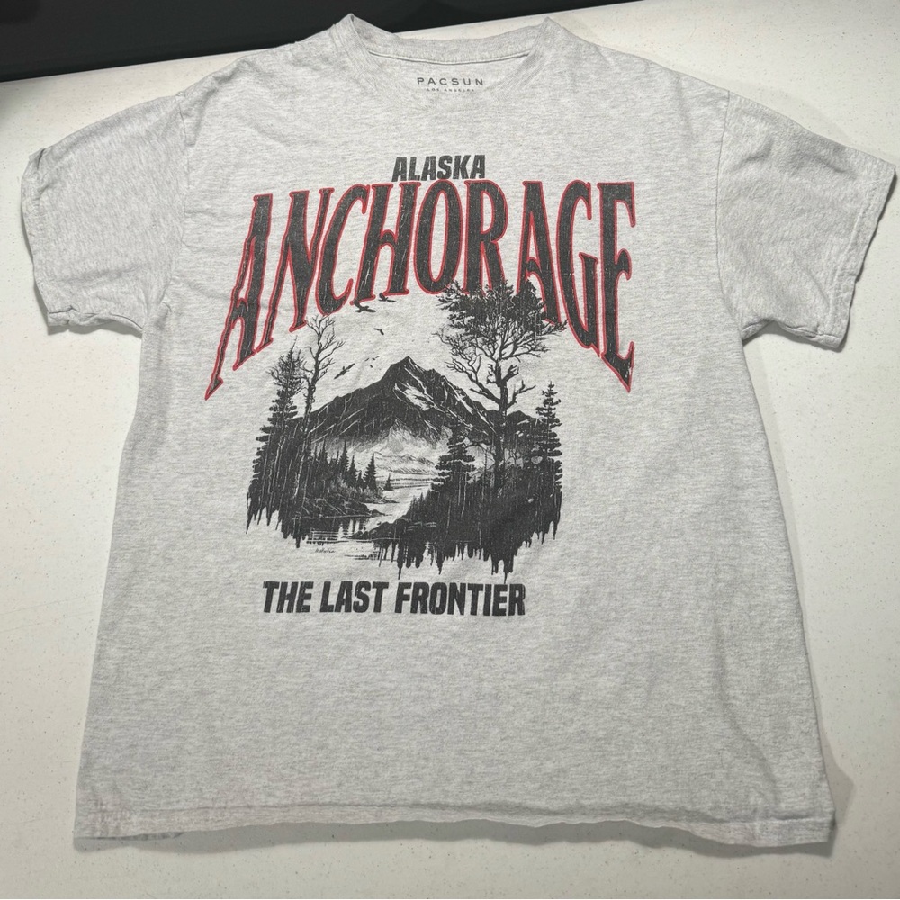 Large Pacsun Grey T shirt